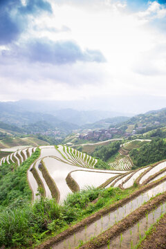 龙脊梯田