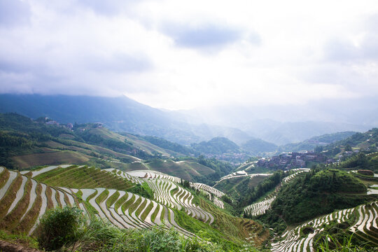 龙胜梯田