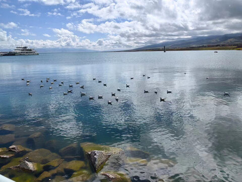 青海湖