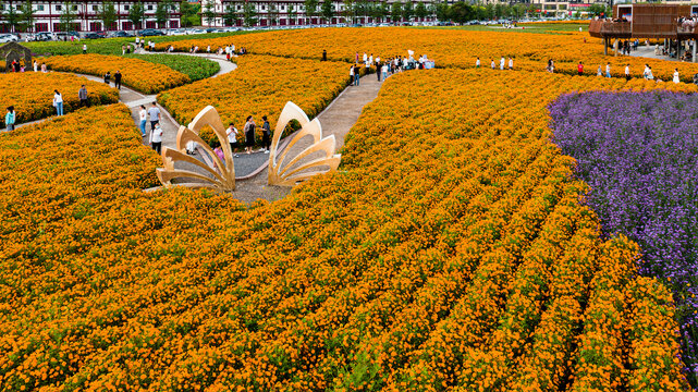 中国长春北湖花海景观