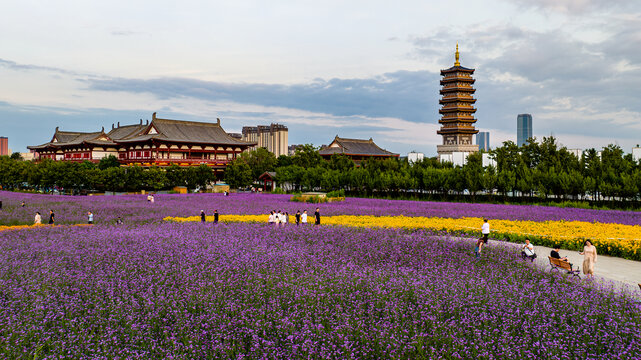 中国长春北湖花海景观