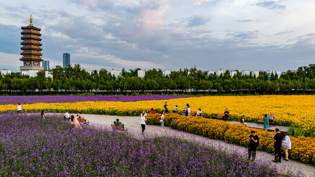 中国长春北湖花海景观