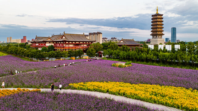 中国长春北湖花海景观