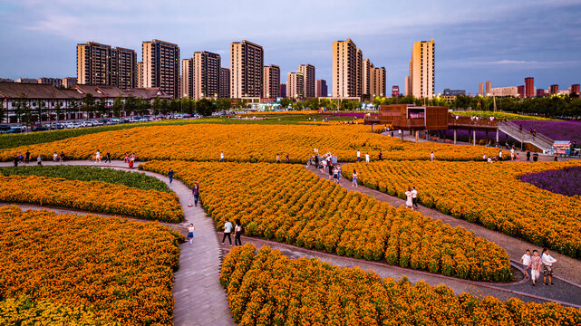 中国长春北湖花海景观