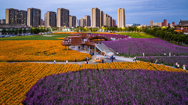 中国长春北湖花海景观