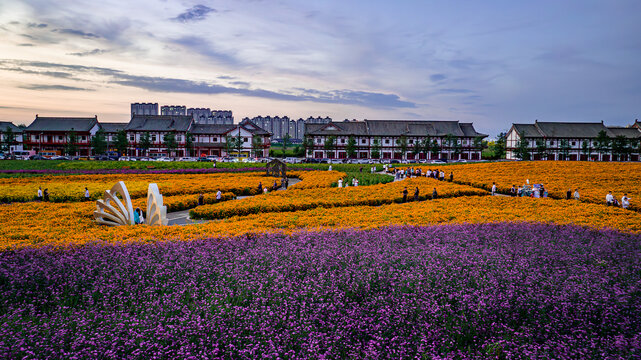 中国长春北湖花海景观