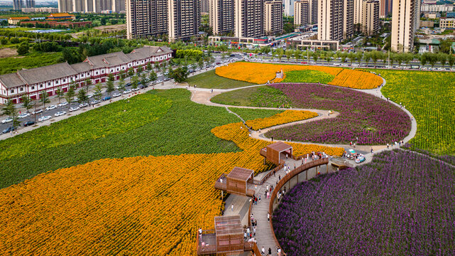 中国长春北湖花海景观