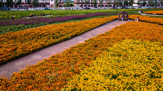 中国长春北湖花海景观