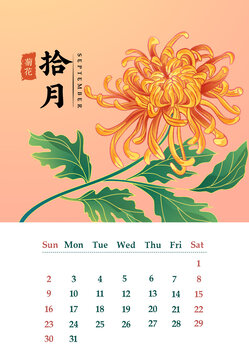国风日历十二月花卉插画菊花