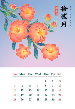 国风日历十二月花卉插画山茶花