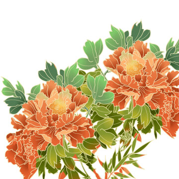 國(guó)風(fēng)花卉插畫薔薇花