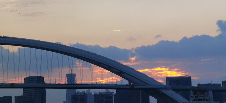 上海卢浦大桥日落