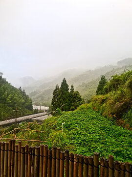 风景照片