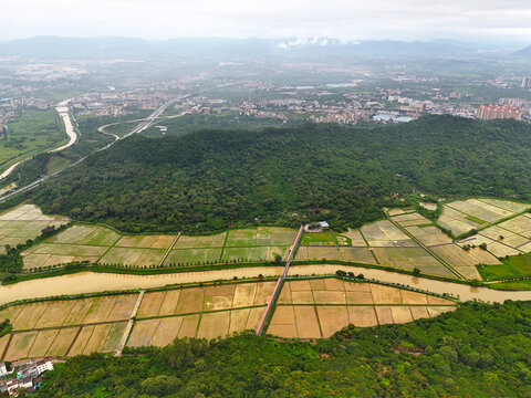 山区稻田