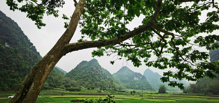 摄影风景