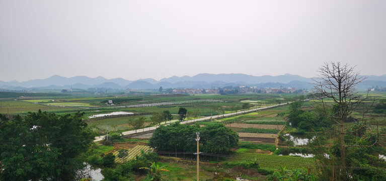 丘陵盆地田野