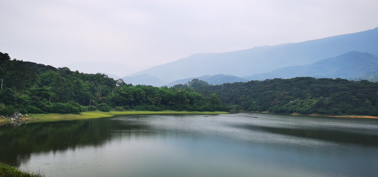 高山森林湖泊