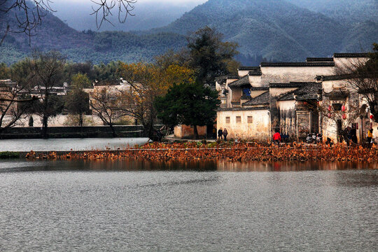 宏村南湖