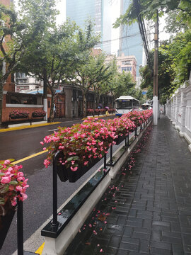 雨后的上海