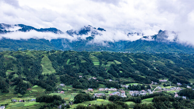 湖北恩施鹤峰木耳山茶园