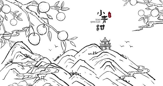 线描小青柑山水插画