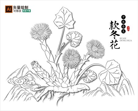 线描款冬花