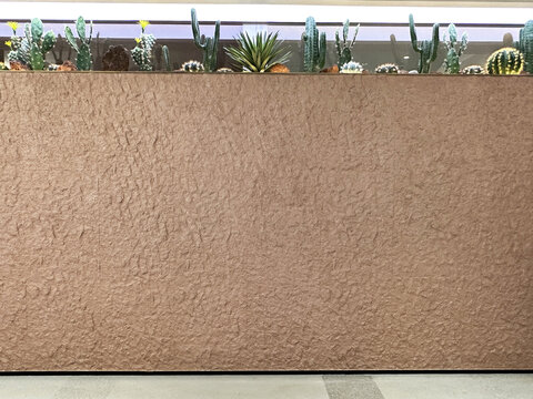 植物艺术墙