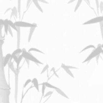 竹子剪影紋理透明背景