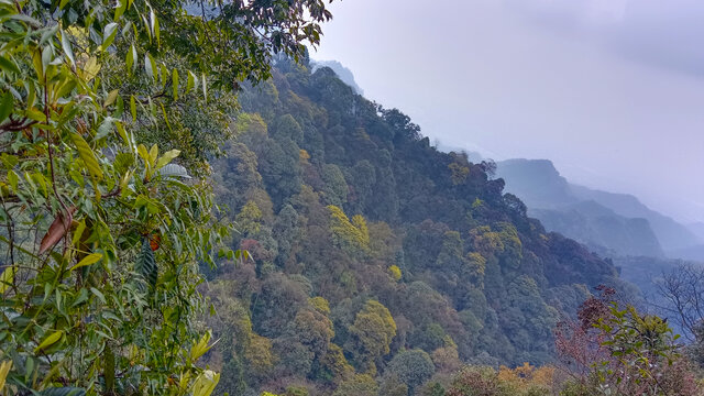 青城山