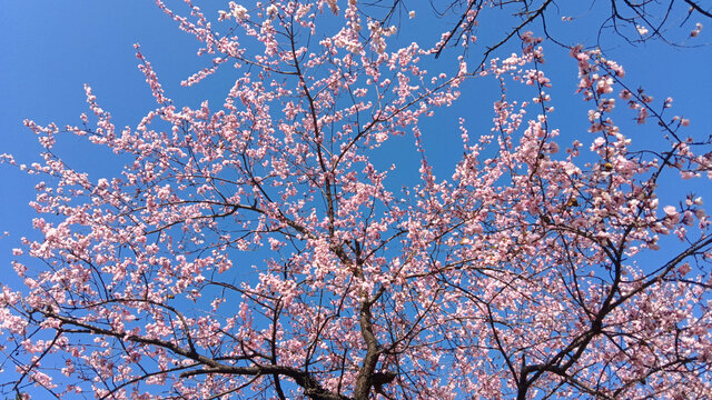 九寨溝