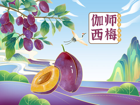 西梅包裝