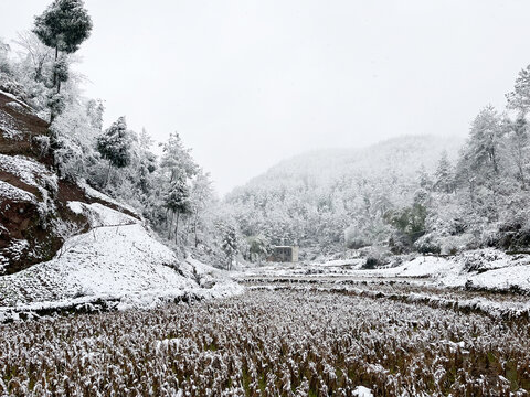 雪