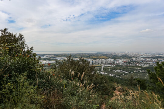 树山村