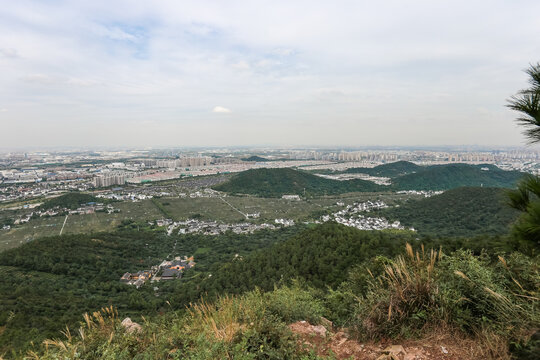 树山村