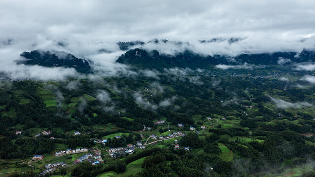 湖北恩施鹤峰木耳山茶园