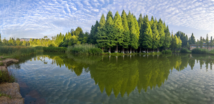 滇池湿地