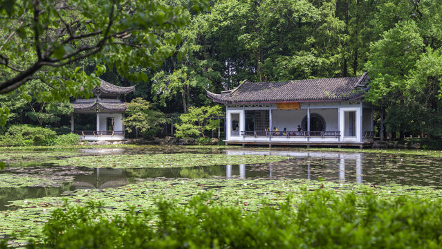 杭州植物园山水园