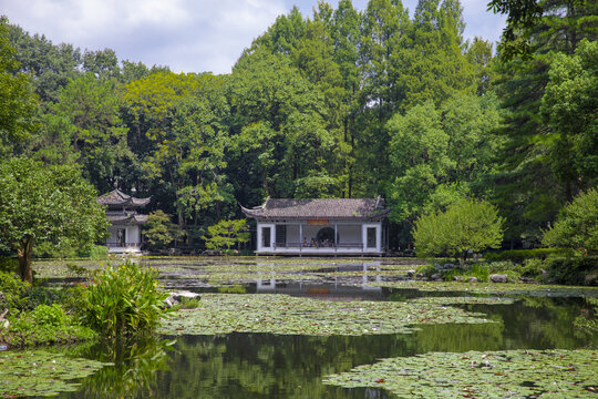 杭州植物园