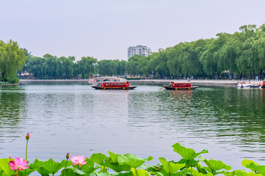 北京什刹海公园的荷花池