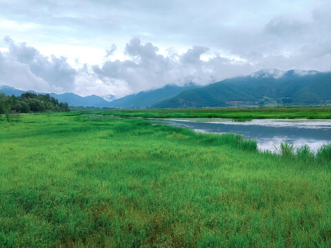 泸沽湖草海