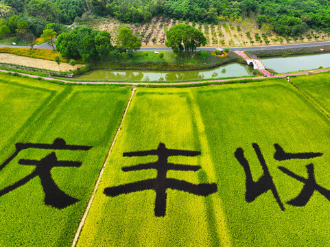 安徽芜湖鸠兹湾里景色美