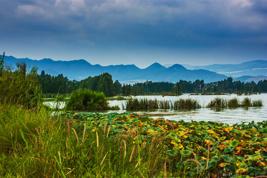 云南昆明滇池湿地