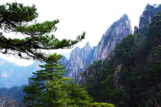 黄山风景