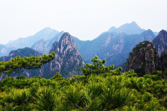 黄山美景