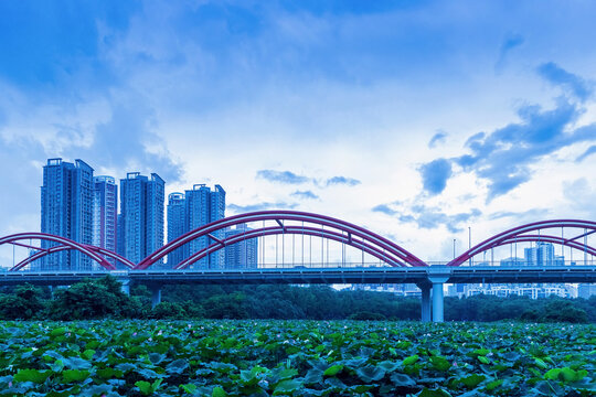 深圳城市风光洪湖公园风景