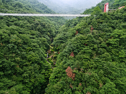 龙津溪地