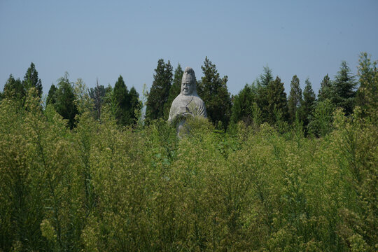 河南巩义