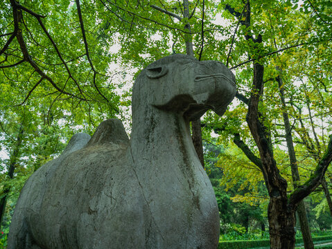 南京明孝陵