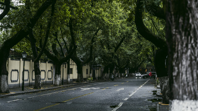 南京颐和路