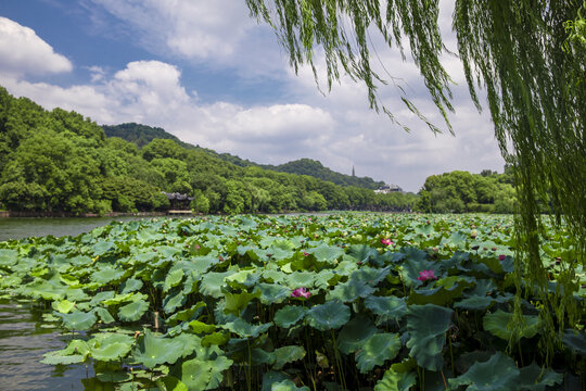 杭州西湖风光